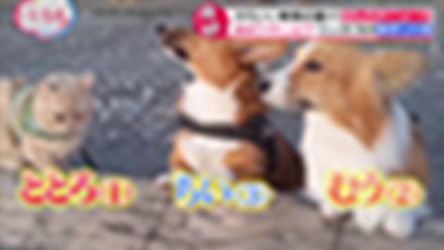 2020/12/23(水) 11:55〜14:45
バイキングＭＯＲＥ【東京都５６３人感染…医師会訴え「真剣勝負の３週間」】[字]