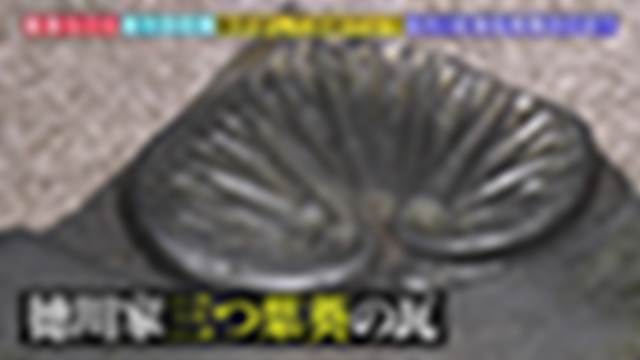 2021/01/03(日) 17:55〜22:00
緊急ＳＯＳ！池の水ぜんぶ抜く大作戦“日本100名城”全国一斉！大調査ＳＰ[字][デ]